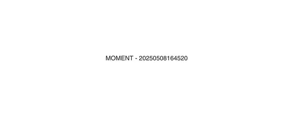 MOMENT - 20250508164520