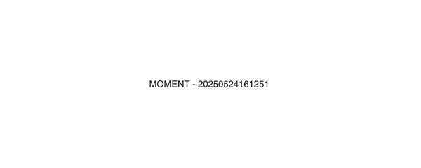 MOMENT - 20250524161251