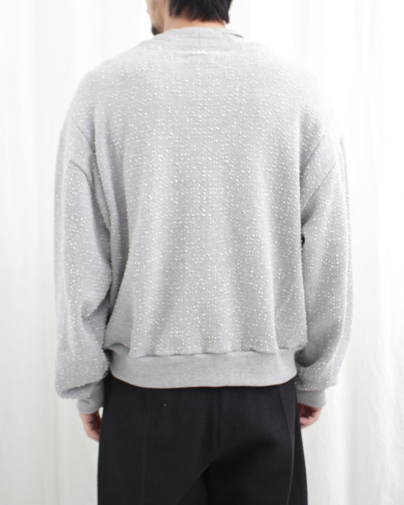 LAY (AW24-RCS01) Grey